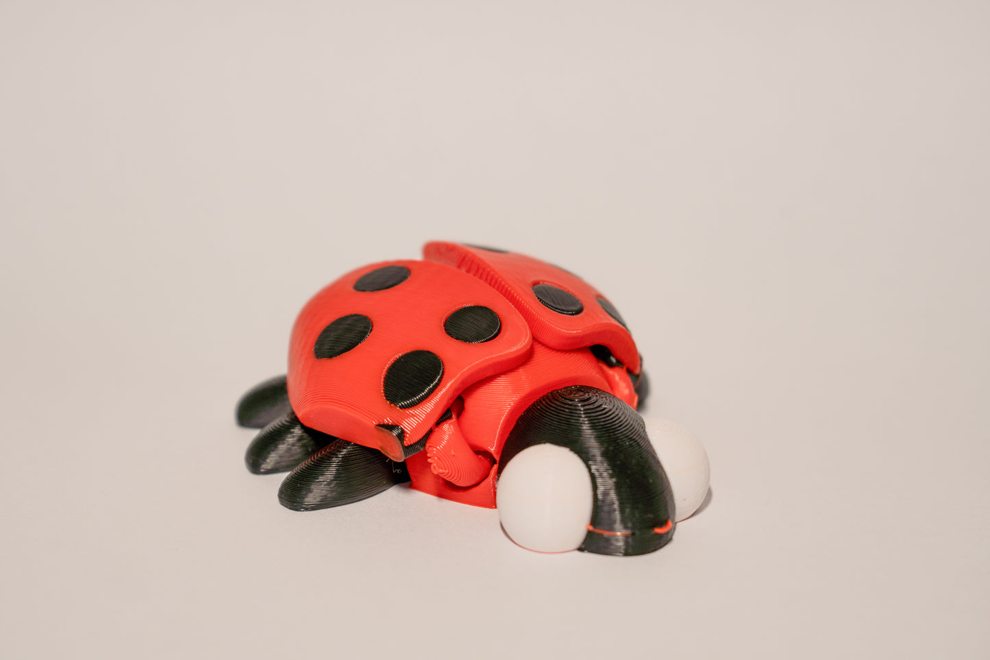 Flexible Lady Bug