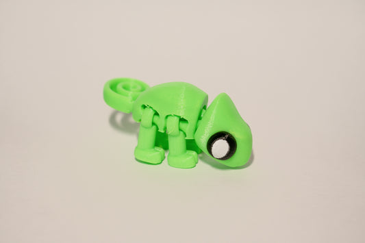 Flexible Chameleon